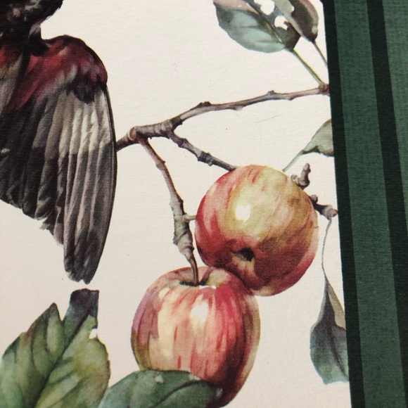 VINTAGE Bird Litho CECIL GOLDING Grosbeak - Picture 4 of 8